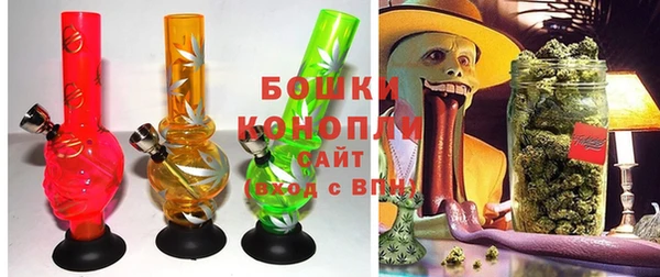 PSILOCYBIN Белокуриха