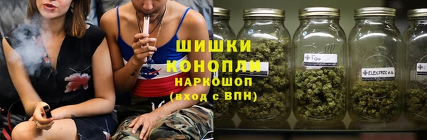 PSILOCYBIN Белокуриха