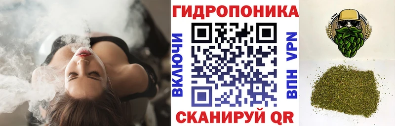 Канабис гибрид Костерёво