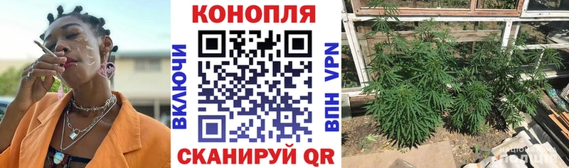 Бошки Шишки Amnesia  Костерёво 